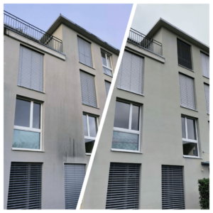 Rillo GmbH Fassadenreinigung 10-min